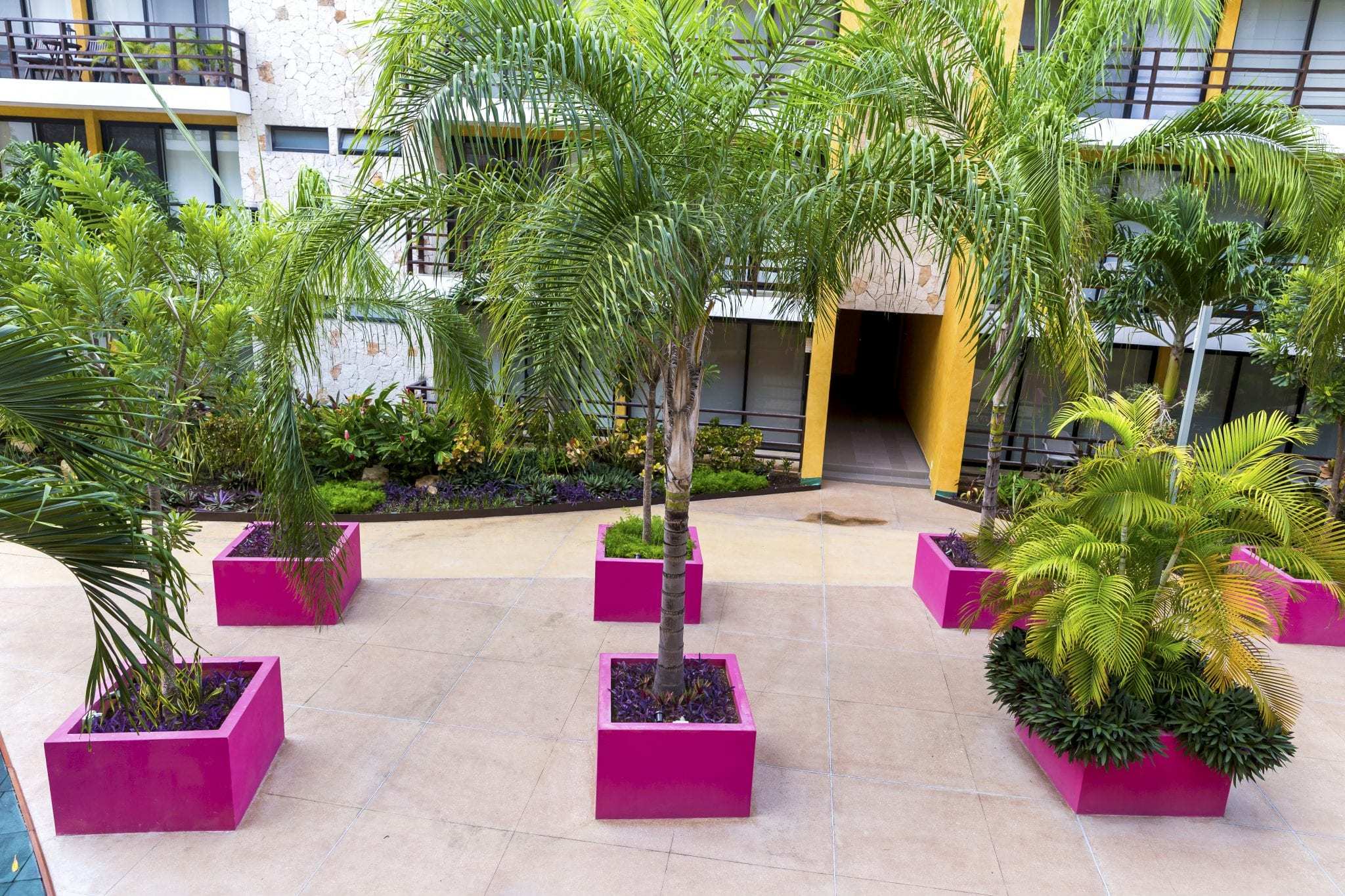 2 BR Lunada Condo — L-309 - Common Area - Courtyard